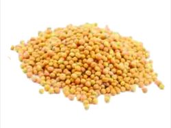 Гірчиця зерна