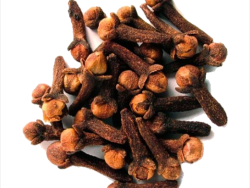 Гвоздика ціла