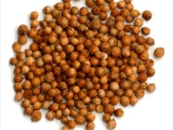 Коріандр горошок