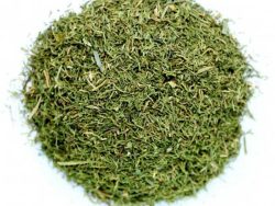 Кріп зелень