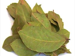 Лист лавровий (цілий)