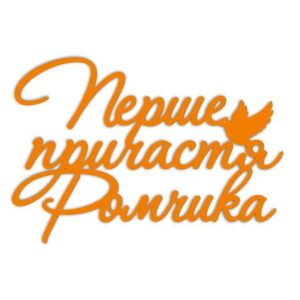 Перше причастя Ромчика (3151)